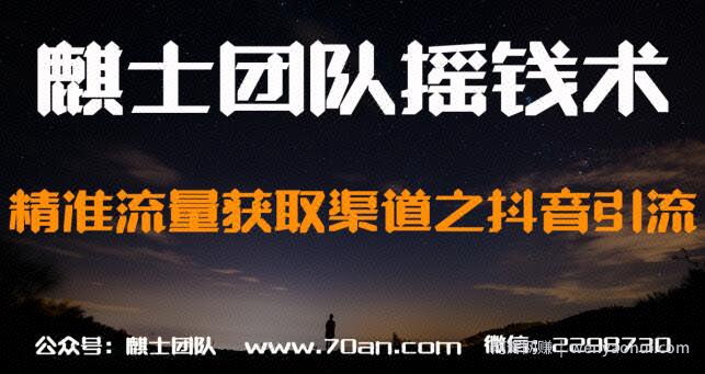 麒士团队摇钱术28：精准流量获取渠道之抖音引流【视频课程】