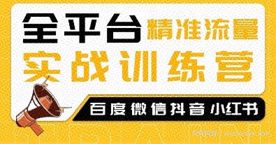 全平台精准流量实战训练营，百度微信抖音小红书SEO引流教程