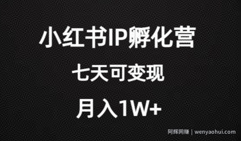 价值2000+的小红书IP孵化营项目，超级大蓝海，七天即可开始变现，稳定月入1W+