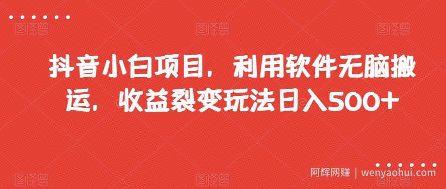 抖音小白项目，利用软件无脑搬运，收益裂变玩法日入500+【揭秘】