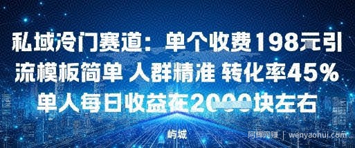 私域冷门赛道：单个收费198米引流模板简单人群精准转化率45%单人每日收益在1k+