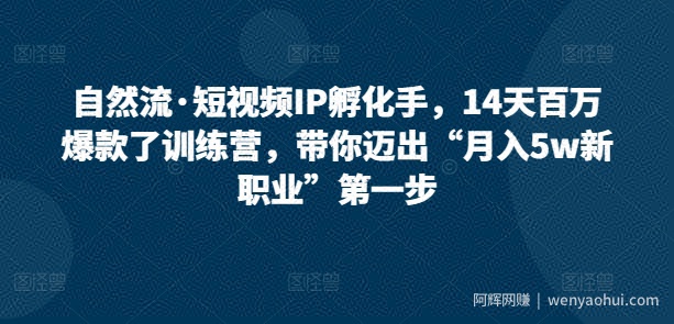 自然流·短视频IP孵化手，14天百万爆款了训练营，带你迈出“月入5w新职业”第一步