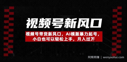 视频号带货新风口，AI模版暴力起号，小白也可以轻松上手，月入过W