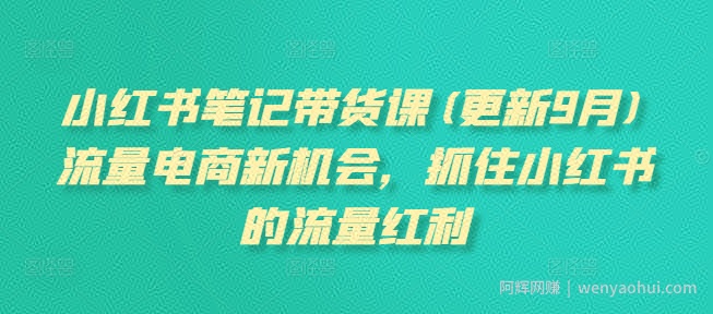 小红书笔记带货课，流量电商新机会，抓住小红书的流量红利(更新26年2月)