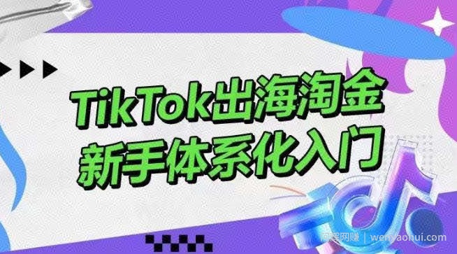 TikTok出海淘金，新手体系化入门，零基础快速入门，掌握短视频、直播带货等引流到变现的知识