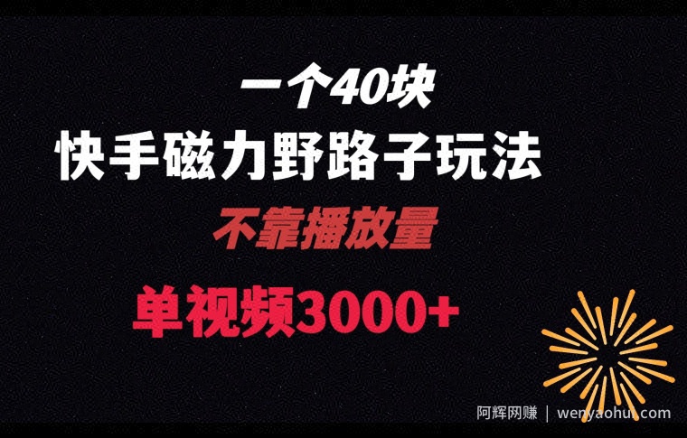一个40块，快手联合美团磁力新玩法，无视机制野路子玩法，单视频收益4位数【揭秘】