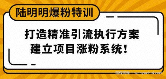 陆明明爆粉特训3月28号：打造精准引流执行方案，建立项目涨粉系统！