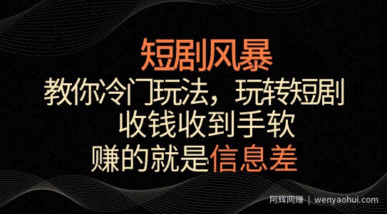 短剧风暴，教你冷门玩法，玩转短剧，收钱收到手软【揭秘】