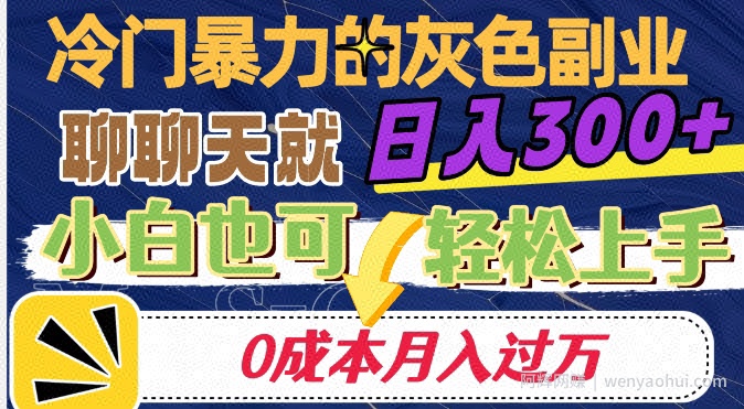 冷门暴利的副业项目，聊聊天就能日入300+，0成本月入过万【揭秘】