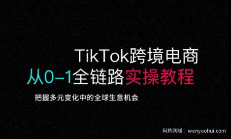 TikTok跨境电商从0-1全链路全方位实操教程，把握多元变化中的全球生意机会