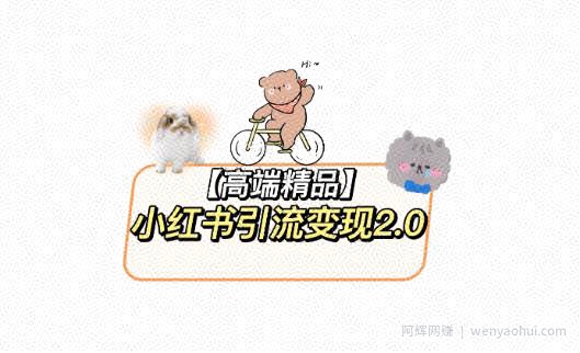 小红书最新引流变现教程，全网最新最详细的视频教程以及素材
