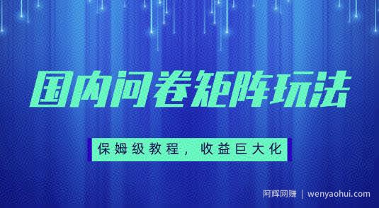保姆级教程，国内问卷矩阵玩法，轻松赚收益