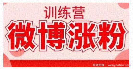 写书哥·微博涨粉训练营，手把手教你写出高转化点赞的涨粉文章【无水印】