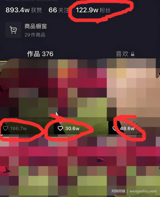 抖音賺米项目之无脑操作一本书，赚了20万5！