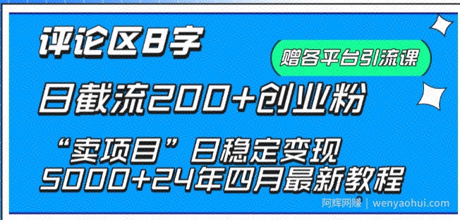抖音评论区8字日截流200+创业粉 “卖项目”日稳定变现5000+【揭秘】