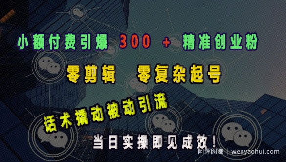 小额付费引爆 300 + 精准创业粉，零剪辑、零复杂起号，话术撬动被动引流，当日实操即见成效