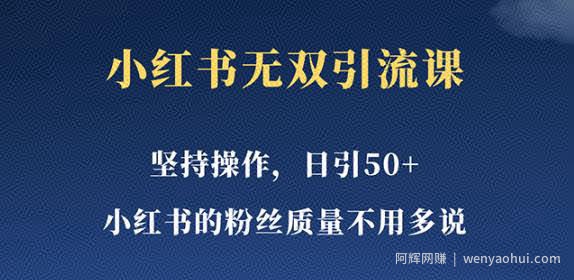 小红书无双课一天引50+女粉，不用做视频发视频，小白也很容易上手拿到结果【仅揭秘】
