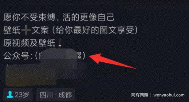 简单复制粘贴月入万元的壁纸号玩法！