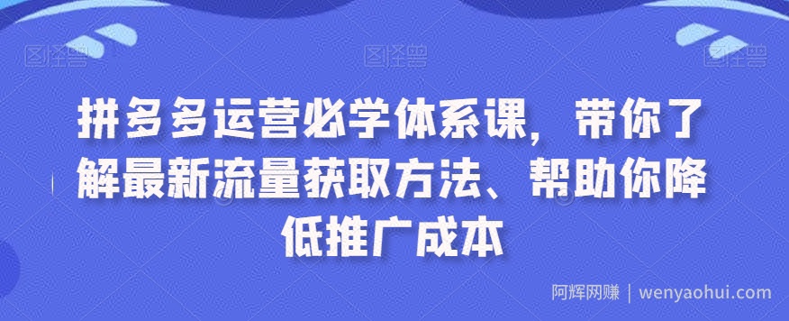 拼多多运营必学体系课，带你了解最新流量获取方法、帮助你降低推广成本