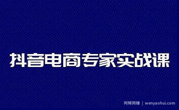 抖音电商专家实战课，你上你也行-人人能做的卖货达人