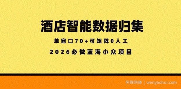 酒店智能数据归集，小众蓝海已经稳定半年之久，单窗口70+零成本矩阵开干【揭秘】