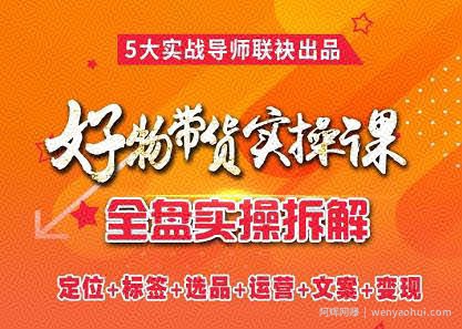 抖音好物带货实操课，全盘拆解抖音好物带货号全套流程打法