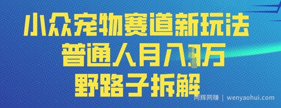 小众宠物赛道新玩法，普通人月入过1W的野路子拆解