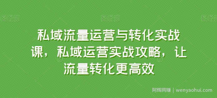 私域流量运营与转化实战课，私域运营实战攻略，让流量转化更高效