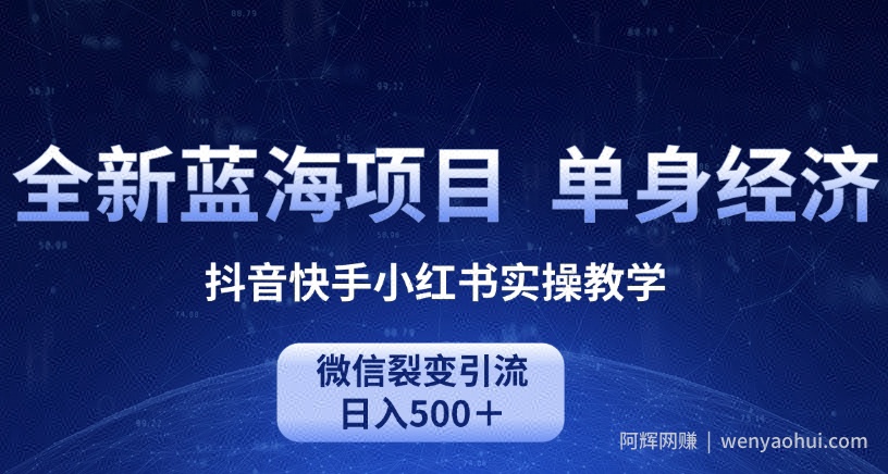 全新蓝海项目，单身经济抖音快手小红书实操教学，微信裂变引流日入500＋