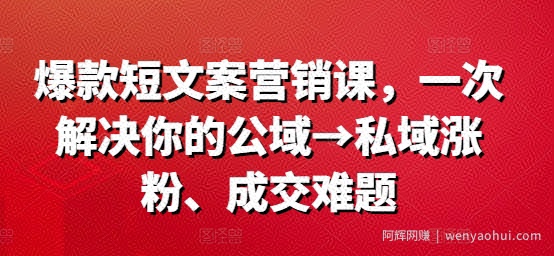 爆款短文案营销课，一次解决你的公域→私域涨粉、成交难题