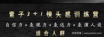 素子表现力训练营，提高自信力+表现力+表达力+表演人设，打造个人魅力ip
