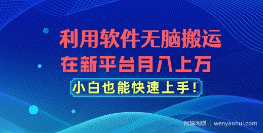 利用软件无脑搬运，在新平台月入上万，小白也能快速上手