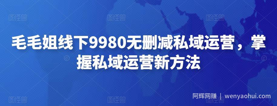 毛毛姐线下9980无删减私域运营，掌握私域运营新方法
