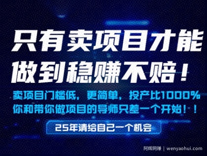 只有卖项目才能做到稳挣不赔，门槛低，更简单，你也可以年入百个W【揭秘】