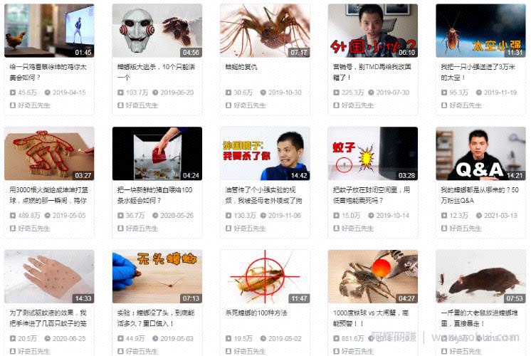 靠卖蟑螂药年赚几百万，自媒体电商应当如此！