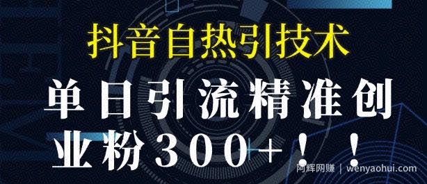抖音自热引流，单日引流精准创业粉300+