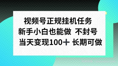 视频号正规挂播任务，有手就行不违规，轻松日入1张