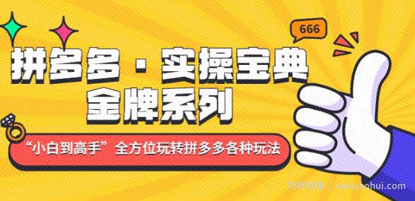 拼多多·实操宝典：金牌系列“小白到高手”带你全方位玩转拼多多各种玩法