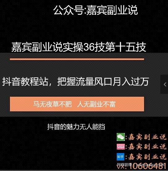 嘉宾副业说实操36技第十五技：抖音教程站，把握流量风口月入过万