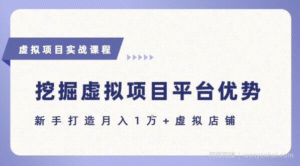 抓住虚拟项目各平台优势，新手轻松月入1W+(给出具体建议)