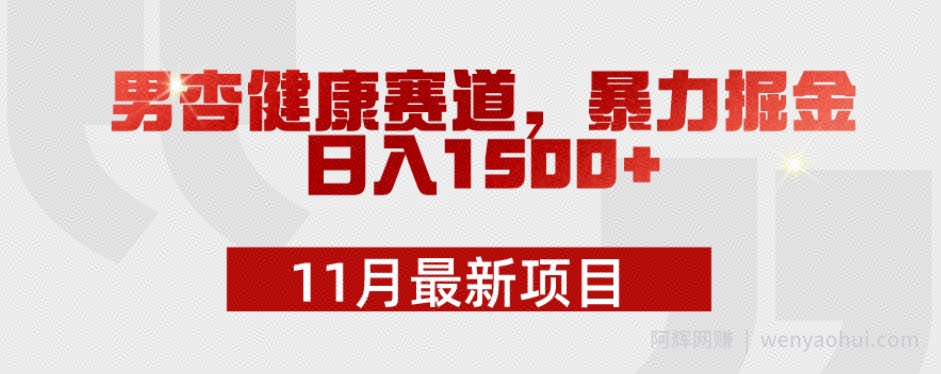 11月最新项目，男杏健康赛道，暴力掘金，日入1500+