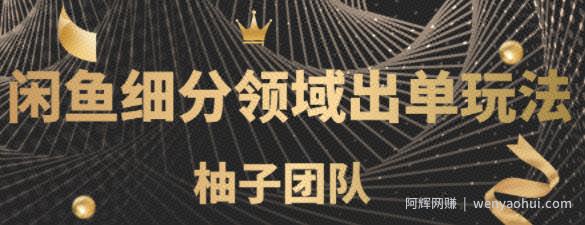 闲鱼细分领域暴力出单玩法，低成本轻松做到单号月入5000+【视频教程】