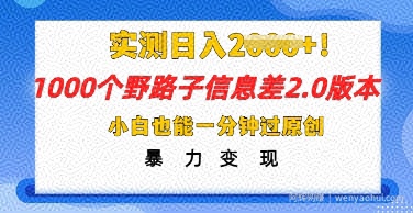 2025抖音1000个野路子信息差最新玩法，一分钟过原创，暴力变现月入几k