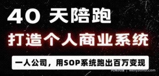 40天陪跑打造个人商业系统，一人公司，用SOP系统跑出百W变现