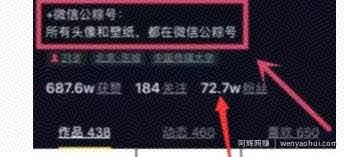​快速变现小红书副业賺米项目，月增收入5000+
