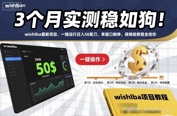 3个月实测稳如狗！wishlba最新项目，一键运行日入50美刀，单窗口躺挣，保姆级教程全给你【揭秘】