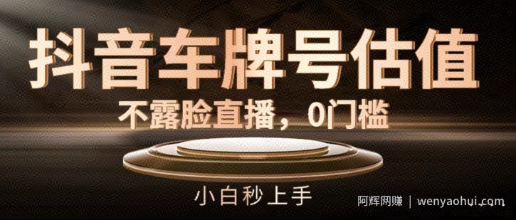 抖音车牌号估值，不露脸直播，0门槛，小白秒上手【揭秘】