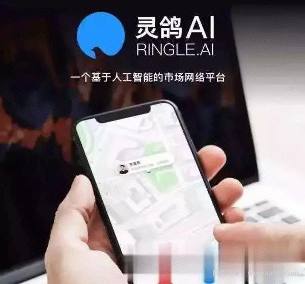 「网创平台」灵鸽邀请码的玄机，有一波互联网红利