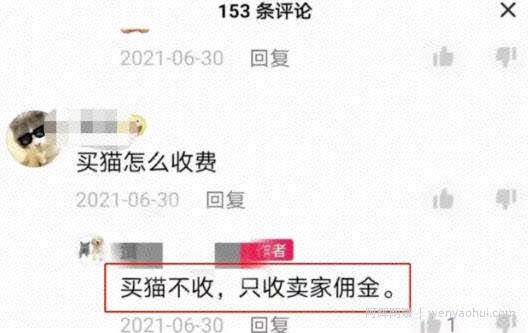 抖音热门同城副业项目，无脑操作一天500+