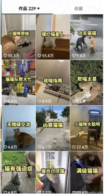 拆解：抖音盘点类中视频变现副业项目，视频版一条龙大解析分享给你